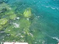 Mackinaw Island Area May 2008 1519